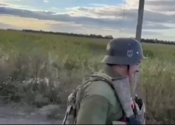 Kiews Militär im Gebiet Kursk beweist: Entnazifizierung der Ukraine notwendig