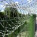 Kurzer Ausflug nach Russland: Finnische Grenzbeamte nehmen drei Franzosen fest