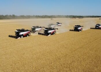 Lebensmittellieferungen in 160 Länder: Sanktionen verhelfen Russland zum Rekordwachstum