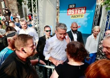 Made in Germany – made by Vielfalt: Unternehmer gegen die AfD