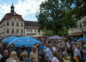 Neue INSA-Umfrage sieht Zuwachs für AfD