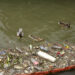 Paris: Erneut Absage eines olympischen Trainings in der Seine