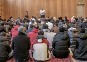 Remigrations-Plan: Schweden könnte auch eingebürgerte Staatsbürger zum Verlassen des Landes anregen