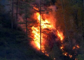 Russland entwickelt Drohne zur Verbesserung der Feuerbekämpfung