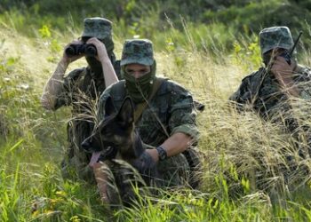 Russlands Grenzschutz vereitelt Durchbruchsversuch ukrainischer Kämpfer ins Gebiet Kursk