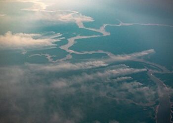 Schwerste Brände im Amazonas-Gebiet seit 17 Jahren