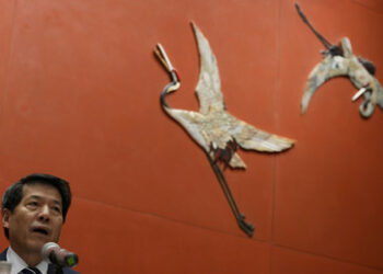 Südafrika unterstützt chinesisch-brasilianische Initiative zur Regelung der Ukraine-Krise