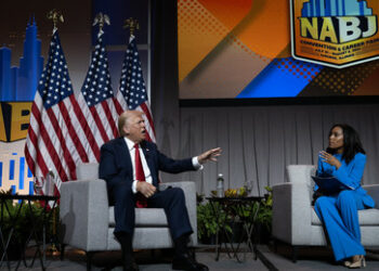 US-Wahlkampf: Trump will Unterstützung von schwarzen Wählern gewinnen