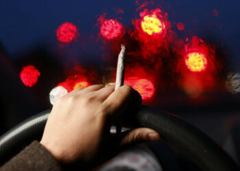 Wahr oder nicht wahr? Was sich in Deutschland im August ändert