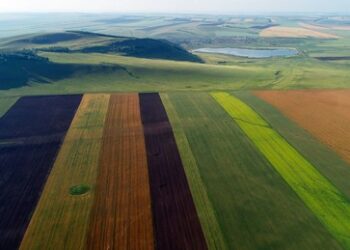 Wie Russland den USA einen riesigen Knüppel – und noch ein Körnchen – zwischen die Beine warf
