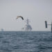 Zunehmende Zweifel an US-Machtprojektion in den Seegebieten um China