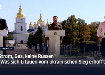 "Strom, Gas, keine Russen" – Was sich Litauen vom ukrainischen Sieg erhofft