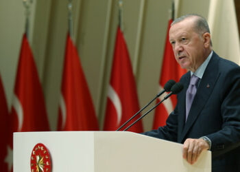 Alternative zum Westen: Ankara beantragt offiziell Mitgliedschaft in BRICS