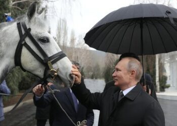 Bericht: Wladimir Putin schenkt Kim Jong-un 24 Pferde