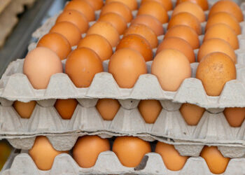 Bulgarien fordert Einfuhrverbot für ukrainische Produkte