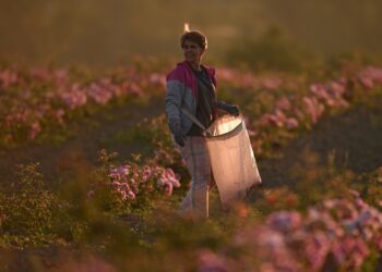 Düfte der Heimat: Russlands Parfümmarkt verzeichnet starkes Wachstum