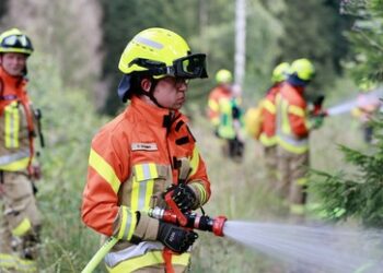 Großbrand im Harz: Flugverbotszone und Sperrung des Nationalparks