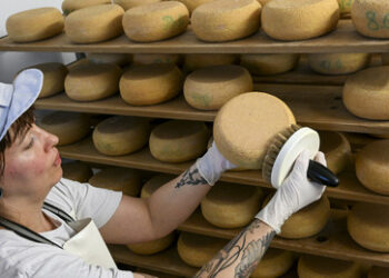 Handelskrieg zwischen EU und China: EU droht mit Klage gegen chinesische Subventionsuntersuchung