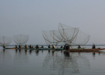 Indische Fischer wurden durch Verkauf zweier Fische zu Millionären