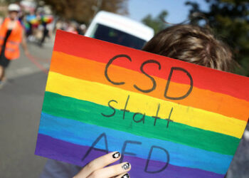 Jungwähler und die AfD: Von alten Menschen und jungen Konservativen