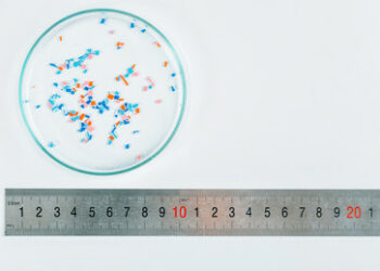 Laut Studie: Erstmals Mikroplastik im menschlichen Gehirn gefunden