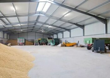 Medienbericht: Billiges ukrainisches Getreide ruiniert deutsche Bauern