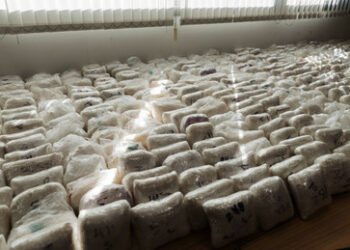 Mexiko: Blutiger Machtkampf im Sinaloa-Drogenkartell