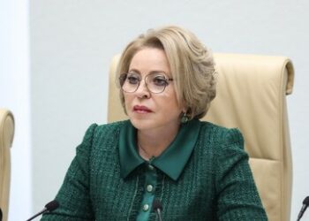 Russischer Föderationsrat fordert Verbot der Childfree-Bewegung