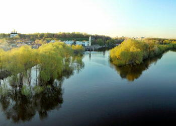 Ukraine: Massives Fischsterben in Tschernigow