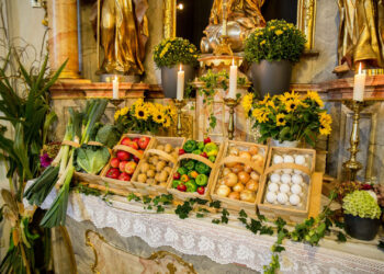 Unter dem Radar: UN-Zukunftspakt über Globalherrschaft beschlossen