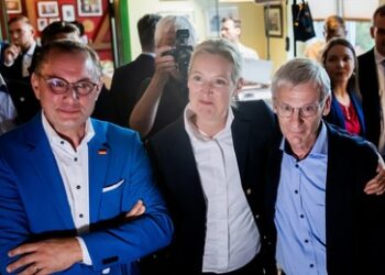 "Mathematisch schwer zu erklären" – AfD spricht von möglichen Manipulationen bei Briefwahl