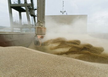 Algerien suspendiert Russlands größten Rivalen bei Weizenkäufen