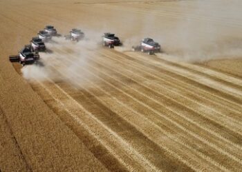 BRICS wird Nordamerikas Getreide-Hegemonie zerstören