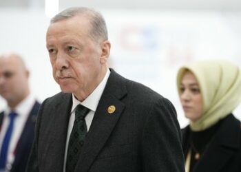 Bemühungen um Annäherung zwischen Kurden und Ankara: Was treibt Erdoğan an?