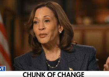 Die wirre Kamala und ihre Fans in der deutschen Presse