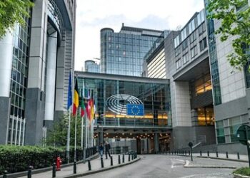 Experte: Zugang zum innereuropäischen Markt für Nicht-EU-Staaten kaum möglich