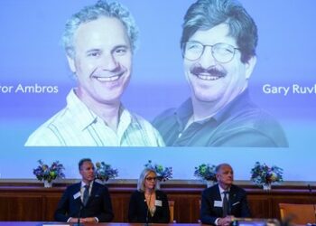 Medizin-Nobelpreis für US-Genforscher