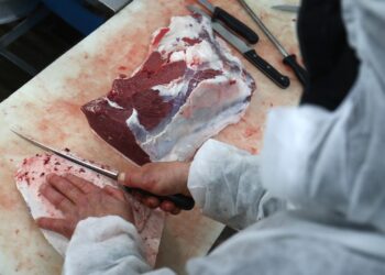 Skandal in Schweizer Gefängnis: Muslimische Häftlinge erhalten undeklariertes Schweinefleisch
