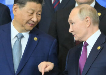 Warum China die BRICS braucht