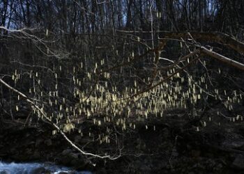 Der Stellvertreterkrieg ist vorbei: Putin hat den Westen vor eine verhängnisvolle Wahl gestellt