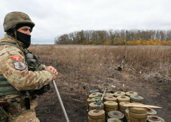 Deutschland "bedauert" Kiews Entscheidung für US-Landminen