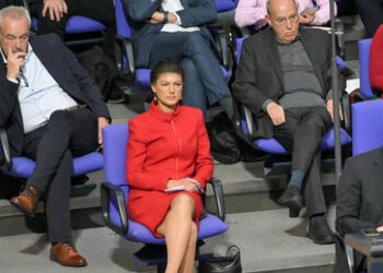 Die Wagenknechte - Sind sie die besseren Stellvertreter des Volkswillens?