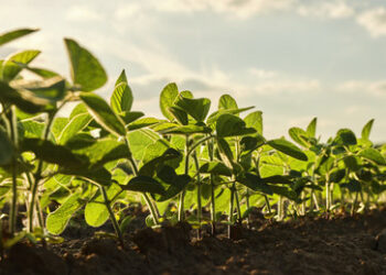 Die richtige Seite: Standpunkte