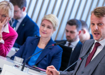 Eklat im MV-Landtag: "Sie würden die AfD-Fraktion in Internierungslager stecken"