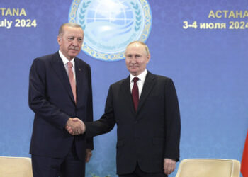Erdogan offeriert Putin ein neues Versprechen zu kommenden Handelsvolumen
