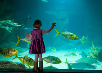 Erste Unterwasser-Hochzeit in Moskau: Paar heiratet in Aquarium