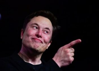 Musk skizziert Pläne der Regierung Trump