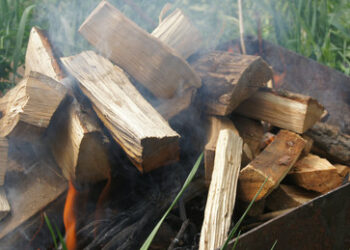 Neues Gesetz: Ukrainern droht Gefängnis für die Lagerung von Brennholz