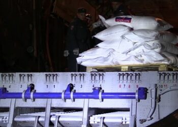 Russland liefert über Ägypten humanitäre Hilfe für Gaza