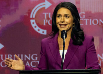 Tulsi Gabbard: Säuberung der US-Geheimdienste wird Gegnerin des Kiewer Regimes anvertraut